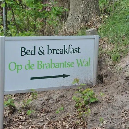 B&B Op de Brabantse Wal-3
